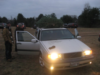 Illustration for article titled Oppo Question - Best looking cars with a tree on top?